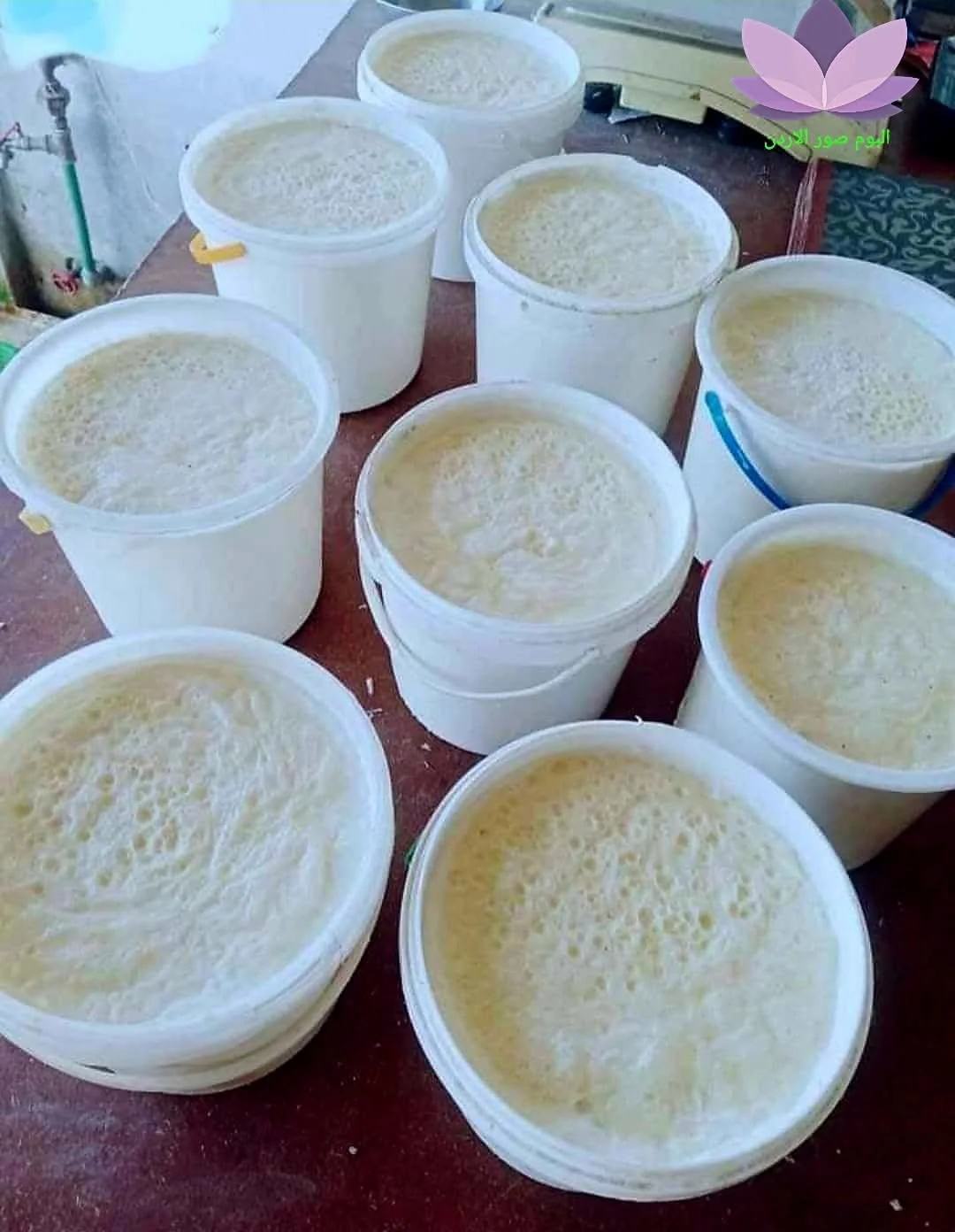 خاثر بلدي ١٨٠٠غ